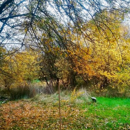 La Yurta De Gaia Villa San Lorenzo de El Escorial Bagian luar foto