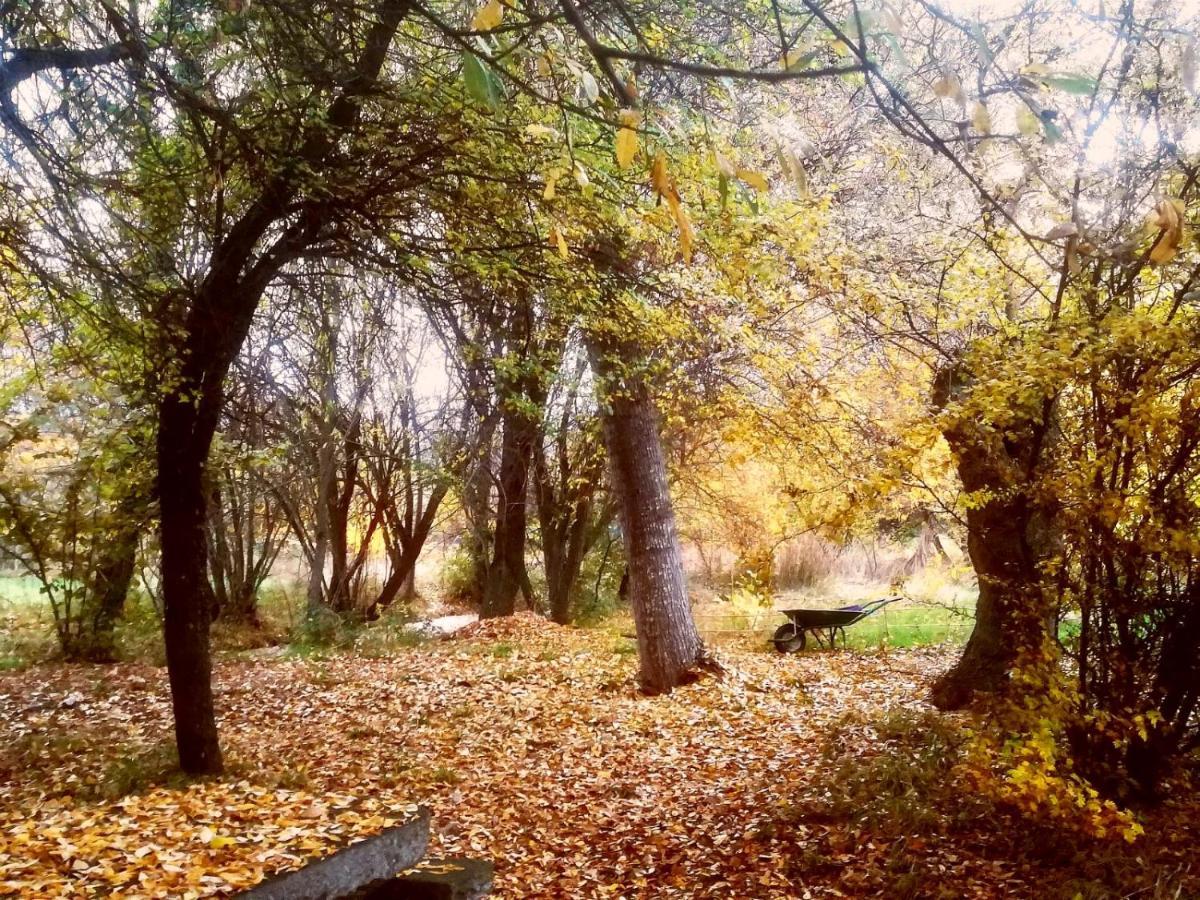 La Yurta De Gaia Villa San Lorenzo de El Escorial Bagian luar foto